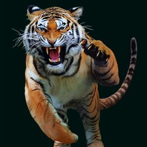 Meet your Posher, Heath